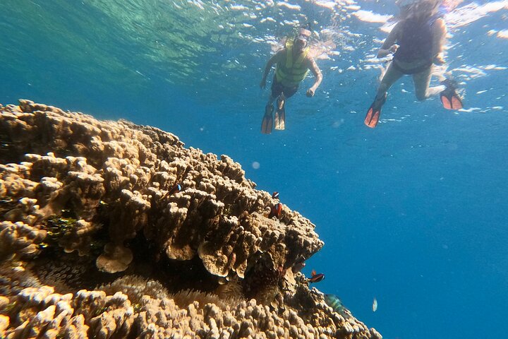 Guam's 5* Guided Snorkeling/Freediving Tour!