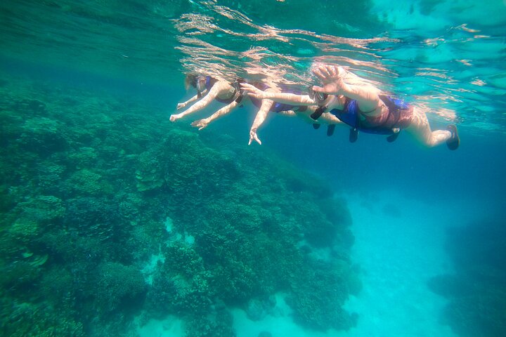 Guam's 5* Guided Snorkeling/Freediving Tour!