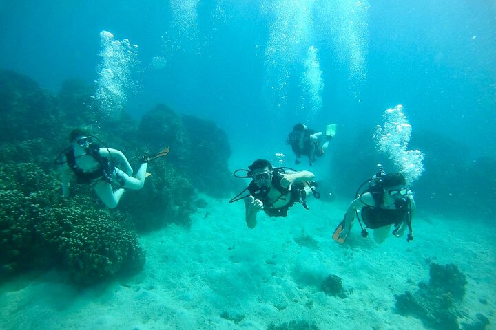 Guam's Best Shore Diving! Beginner and Advanced Dives