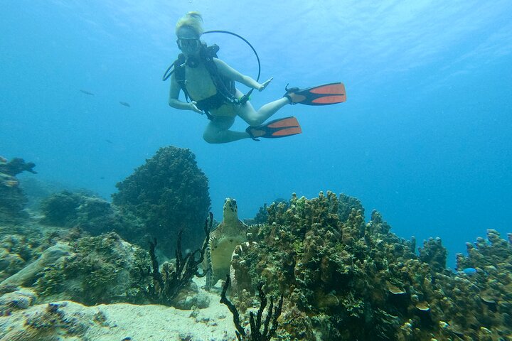 Guam's Best Shore Diving! Beginner and Advanced Dives