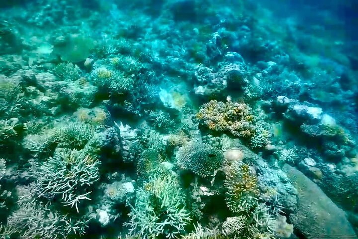 Rangko Cave & Beach Snorkeling Half Day Sharing Trip Labuan Bajo