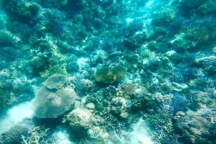 Rangko Cave & Beach Snorkeling Half Day Sharing Trip Labuan Bajo