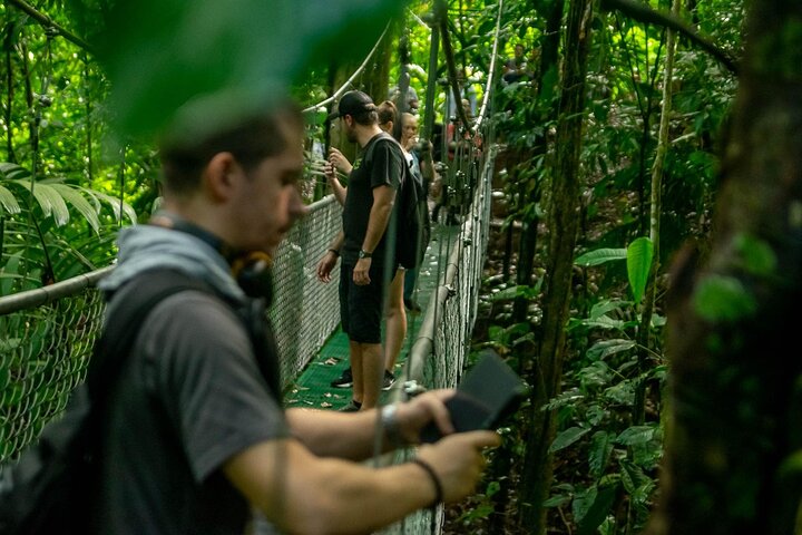 Limón Rainforest Hanging Bridges-Skywalk Tour & Tortuguero Canals