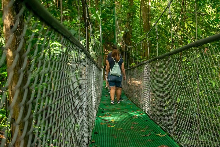 Limón Rainforest Hanging Bridges-Skywalk Tour & Tortuguero Canals