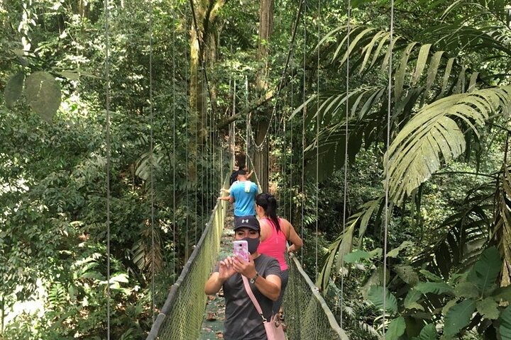 Limón Rainforest Hanging Bridges-Skywalk Tour & Tortuguero Canals