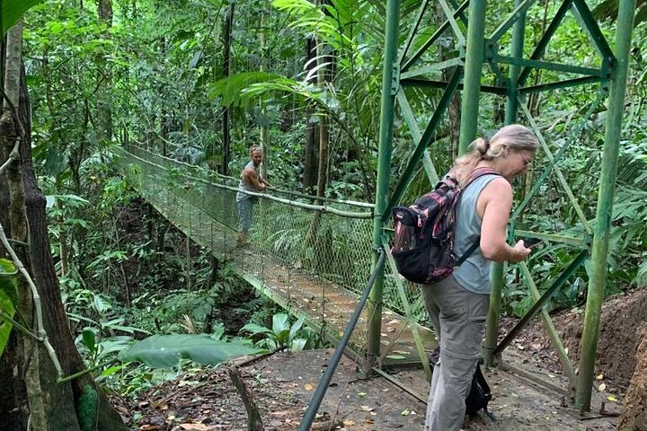 Limón Rainforest Hanging Bridges-Skywalk Tour & Tortuguero Canals