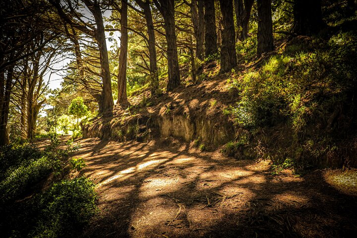 Wellington's Original HD LOTR Experience - includes Weta Tour