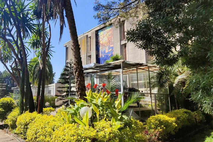 Addis Ababa City Highlights Tour Free Pickup & Drop-Off