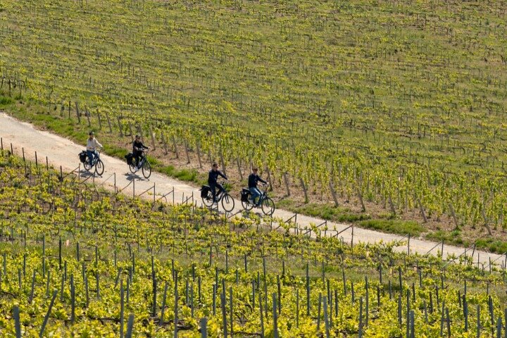 From Reims afternoon e-bike tour, visit and champagne tastings