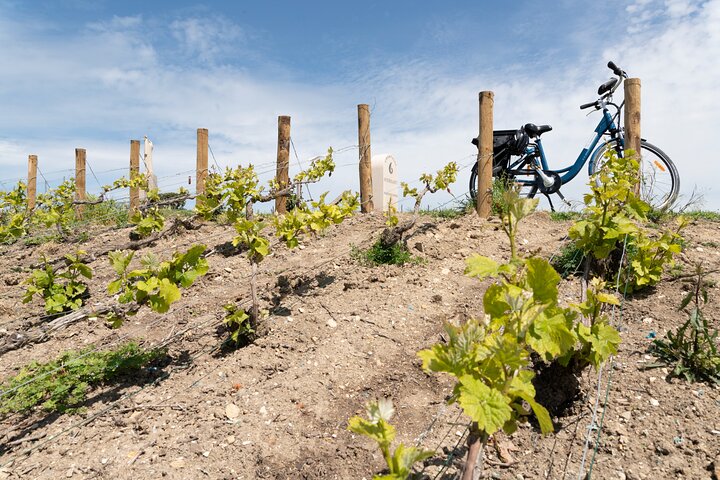 From Reims afternoon e-bike tour, visit and champagne tastings
