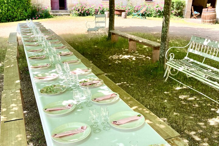 Picnic in the Vines - A Unique Loire Wine Experience