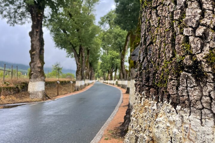 Buggy and Moto 4 Tours in Marvão