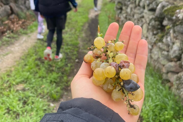Nature walks in Marvão