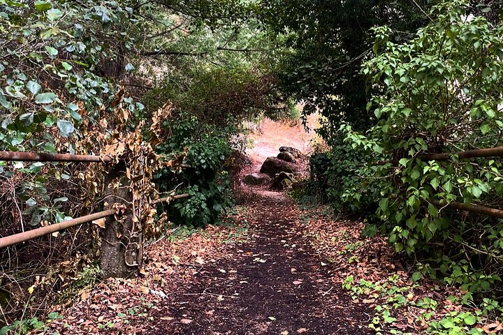 Nature walks in Marvão