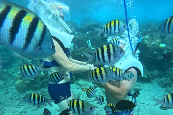 Curacao Helmet Diving-Walk the Ocean Floor, No Swimming Required