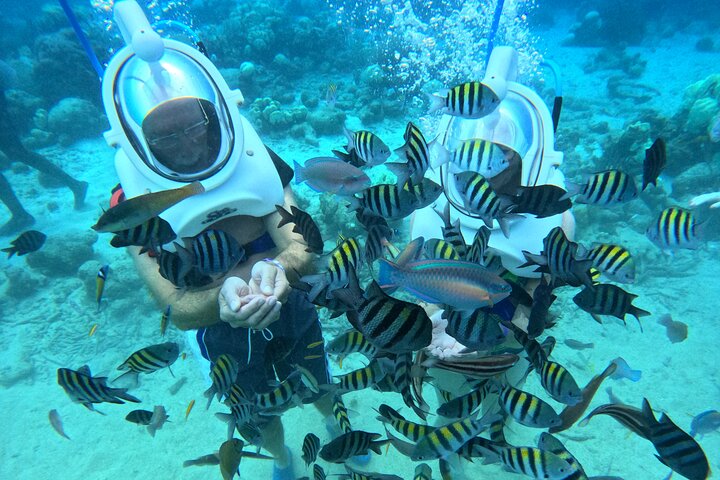 Curacao Helmet Diving-Walk the Ocean Floor, No Swimming Required