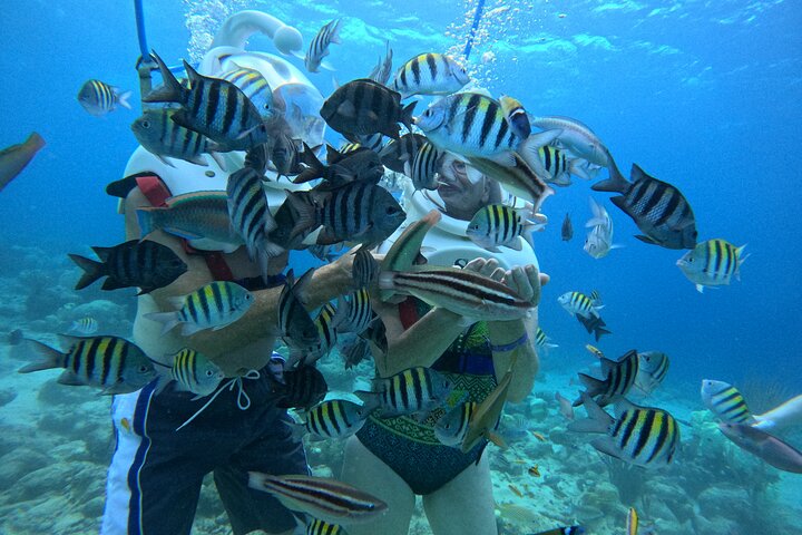 Curacao Helmet Diving-Walk the Ocean Floor, No Swimming Required