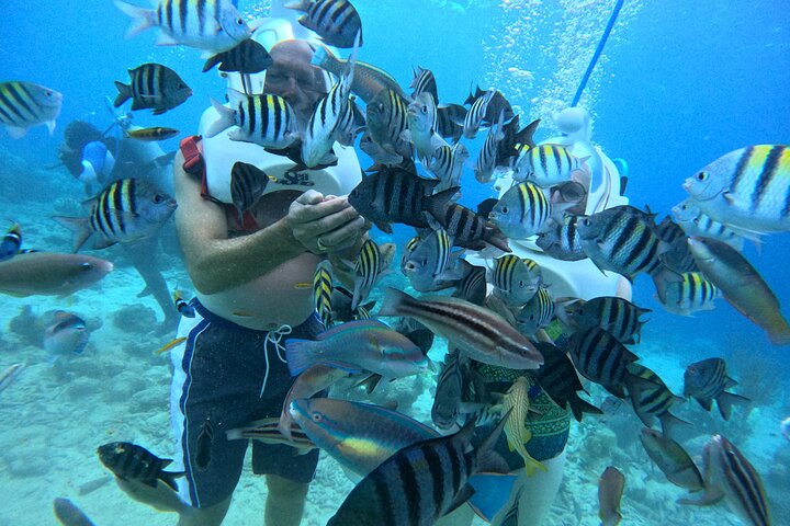 Curacao Helmet Diving-Walk the Ocean Floor, No Swimming Required