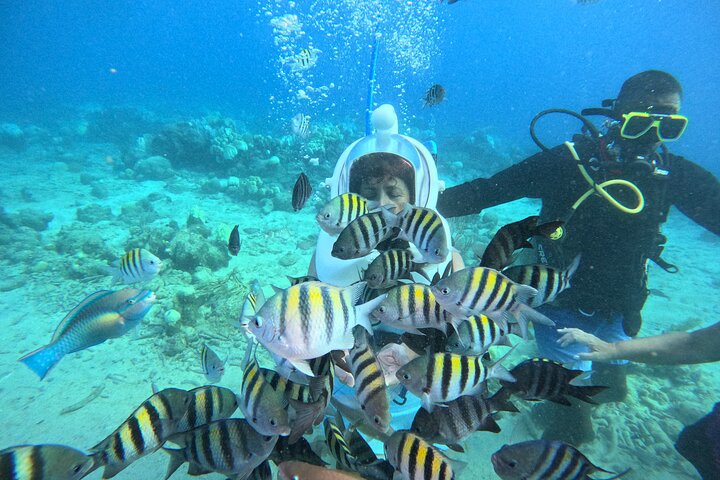 Curacao Helmet Diving-Walk the Ocean Floor, No Swimming Required