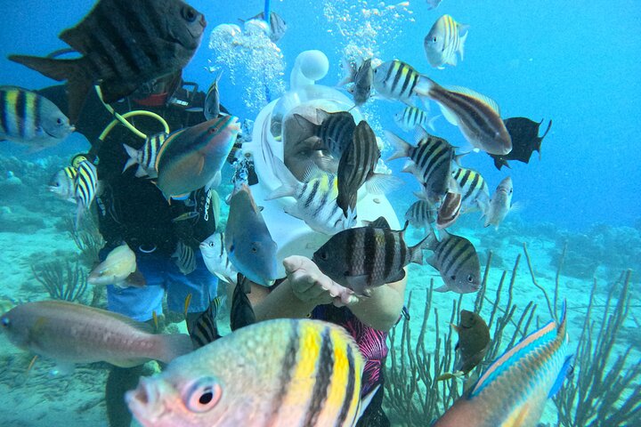 Curacao Helmet Diving-Walk the Ocean Floor, No Swimming Required