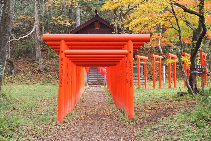 Togakushi: A Serene Walk Through Sacred Forests & Soba Traditions