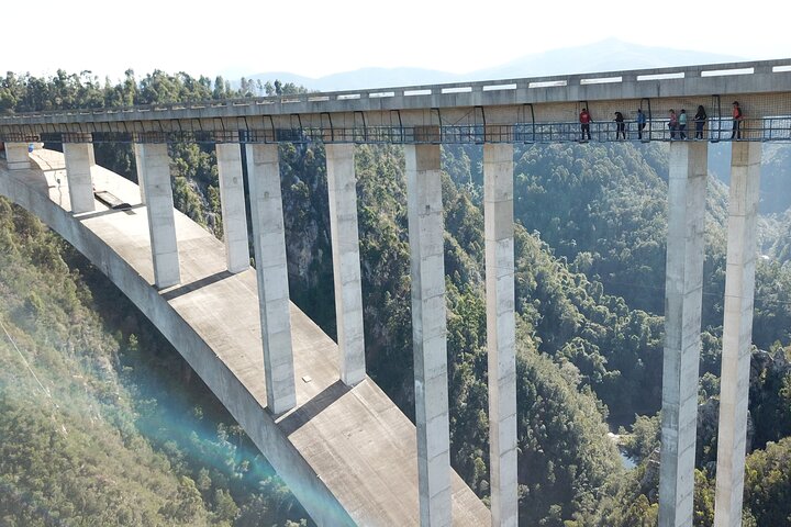 Bloukrans Skywalk Tour