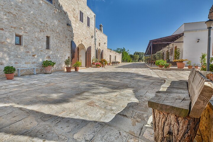 Ostuni : Tasting of Extra Virgin Olive Oil in Masseria
