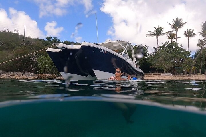 Full-Day Private Boat Charter from St. John or St. Thomas