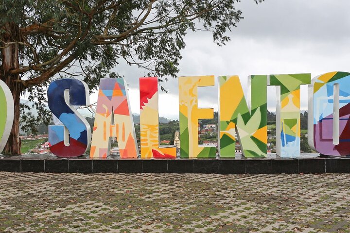 Salento, Cocora+Filand PREMIUM PLAN. exit: Pereira/Armenia.