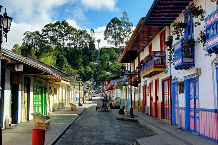 Salento, Cocora+Filand PREMIUM PLAN. exit: Pereira/Armenia.