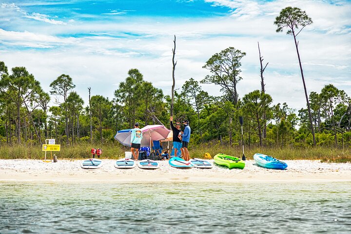 Shell Island Inflatable Adventure Park & Dolphin Sightseeing Tour