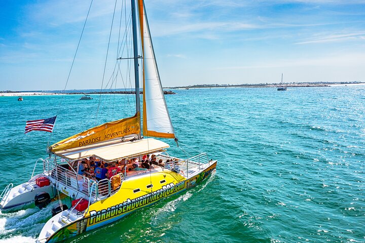 Snorkel & Dolphin Sightseeing Tour Aboard the Footloose