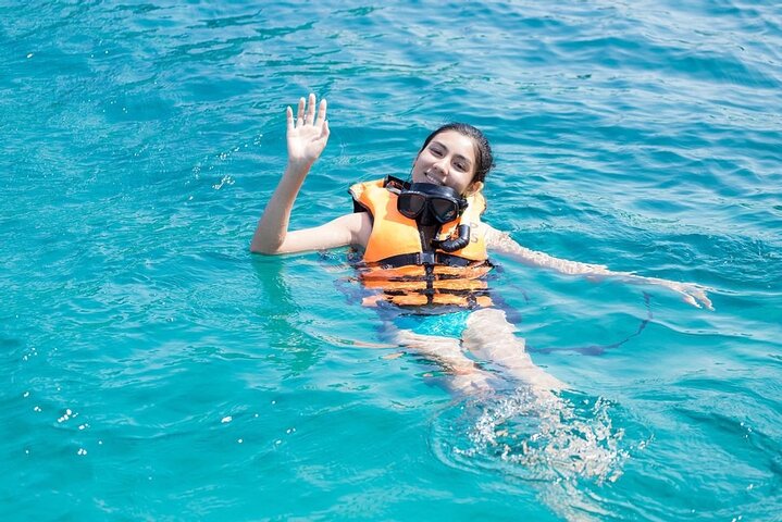 Snorkel & Dolphin Sightseeing Tour Aboard the Footloose