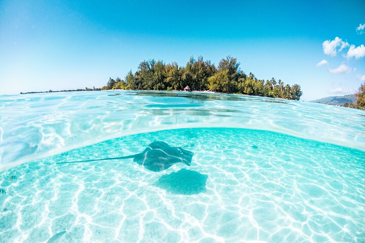 3-Hour Snorkeling Tour
