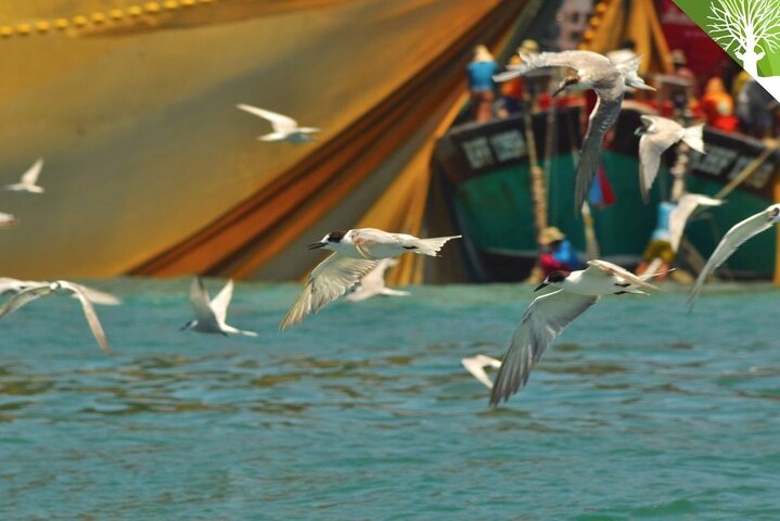 Essential Langkawi Group Tour - Top Attractions in a Day"