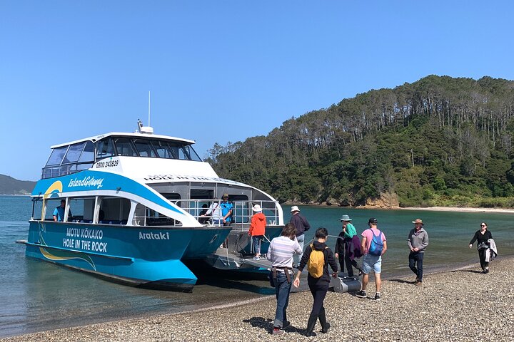 Bay of Islands Cruise & Island Tour - Snorkel, Hike,Swim,Wildlife