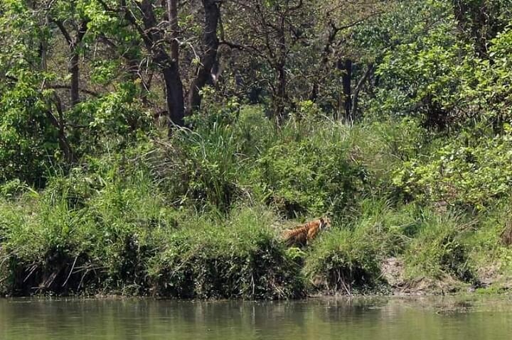 Chitwan National Park Unique Activities From Untouched Side Madi