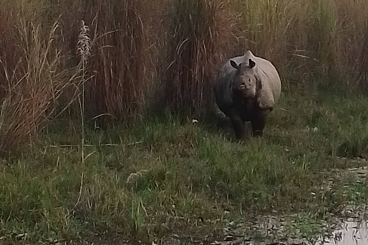 Chitwan National Park Unique Activities From Untouched Side Madi