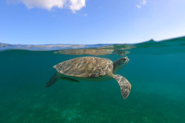 Full-Day Private Boat Charter from St. John or St. Thomas