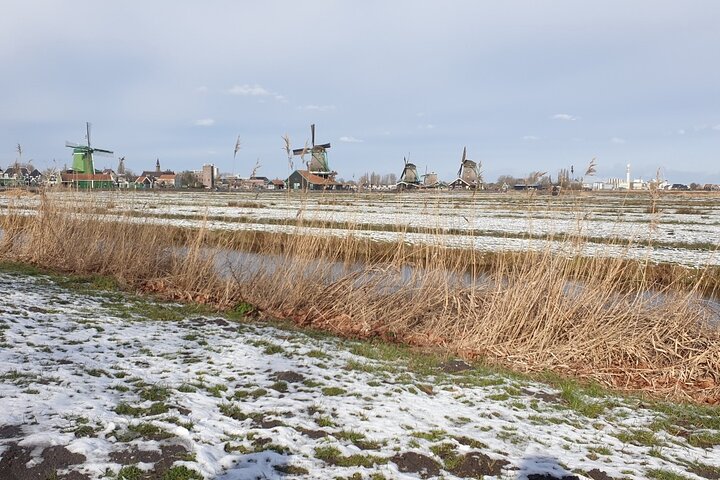 Zaanse Schans & Volendam Small-Group Tour with Hotel Pickup