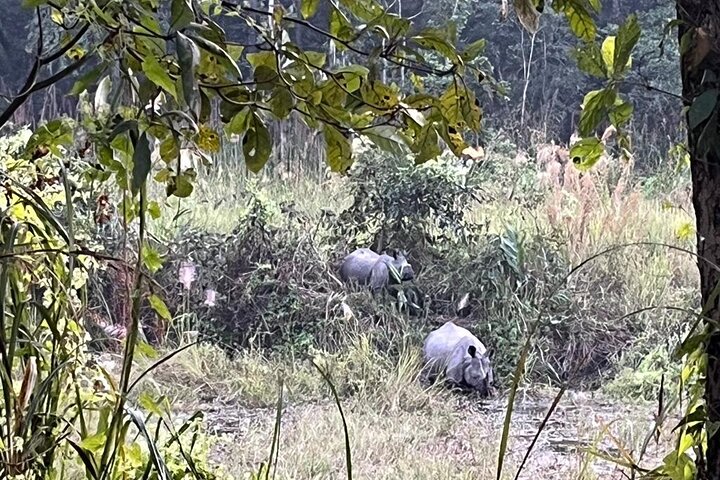 Chitwan National Park Unique Activities From Untouched Side Madi