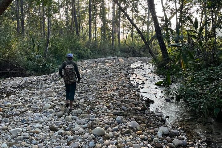Chitwan National Park Unique Activities From Untouched Side Madi