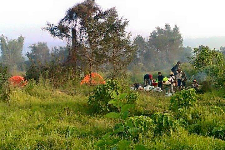 Chitwan National Park Unique Activities From Untouched Side Madi