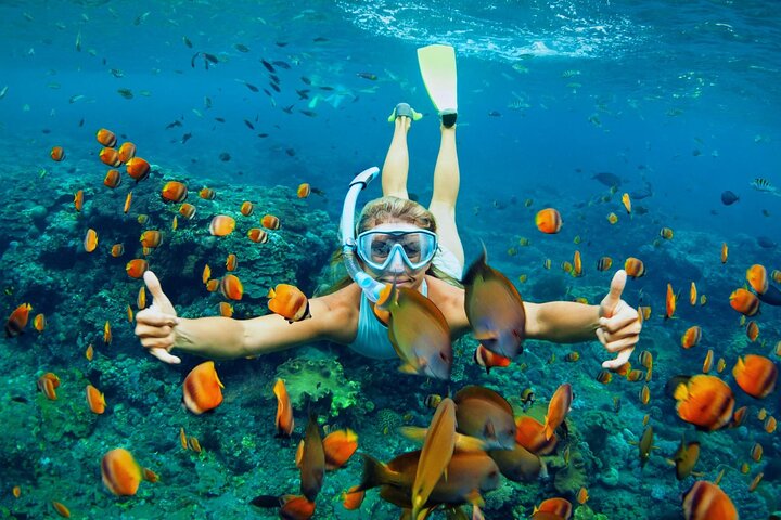 Lihaga Island (white sand island) swimming twice, including lunch and tickets