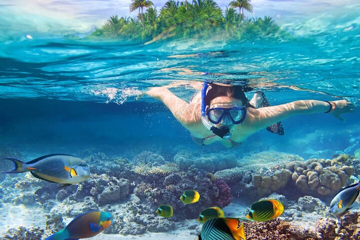 Lihaga Island (white sand island) swimming twice, including lunch and tickets