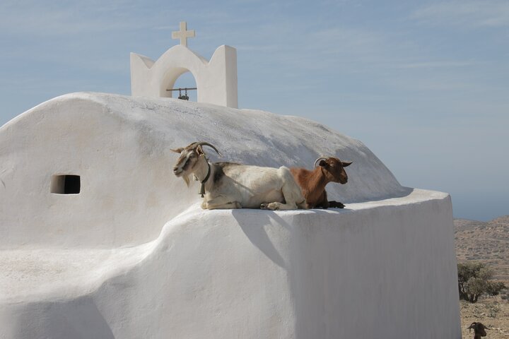 Ios Island Trekking Tours: Discover Ios Unexplored