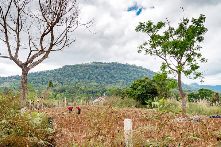 Private Bolaven Plateau Waterfall Trek Tour in Pakse