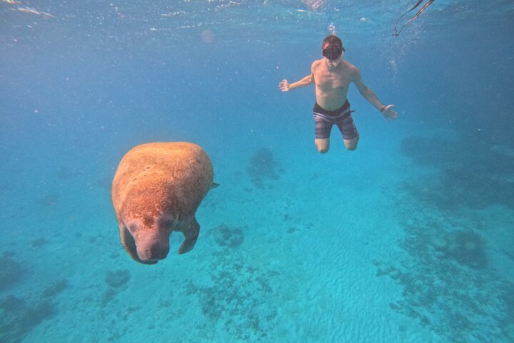 Let's snorkel Hol Chan the Best Marine Reserve in Belize