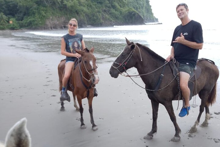 1 1/2 hours Tour Horseback Riding and Visiting the Beach
