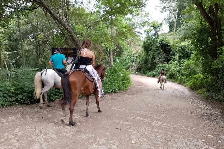 1 1/2 hours Tour Horseback Riding and Visiting the Beach